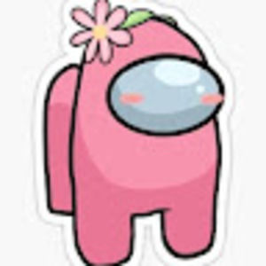 Meet your Posher, Laila